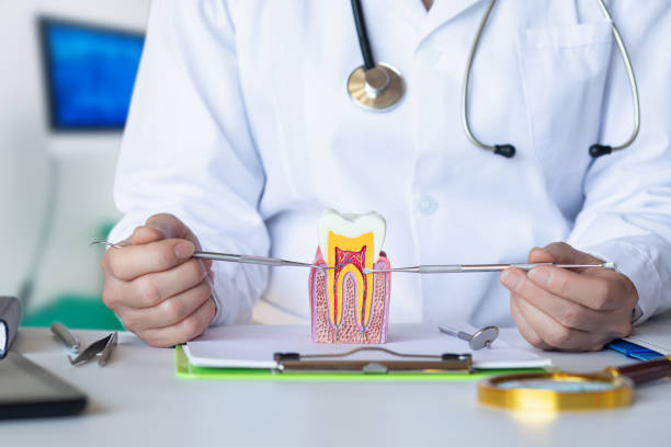 Best Emergency Dentist for Special Needs Patients in Rosharon, TX
